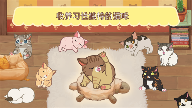 絨毛貓咖啡廳截圖(1)