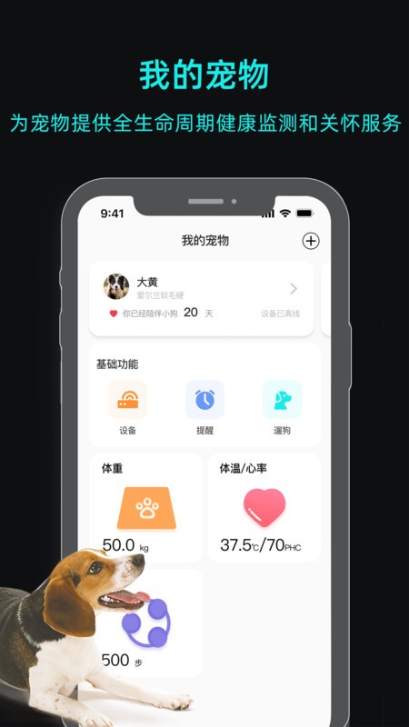 一聰小白截圖(3)