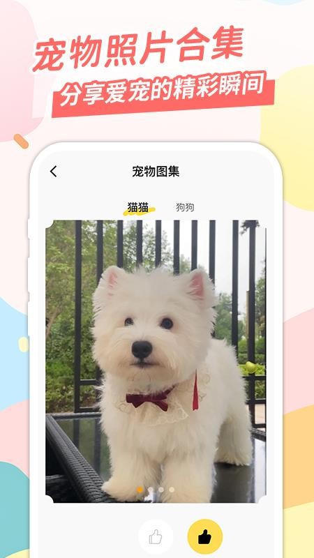 桌面寵截圖(3)