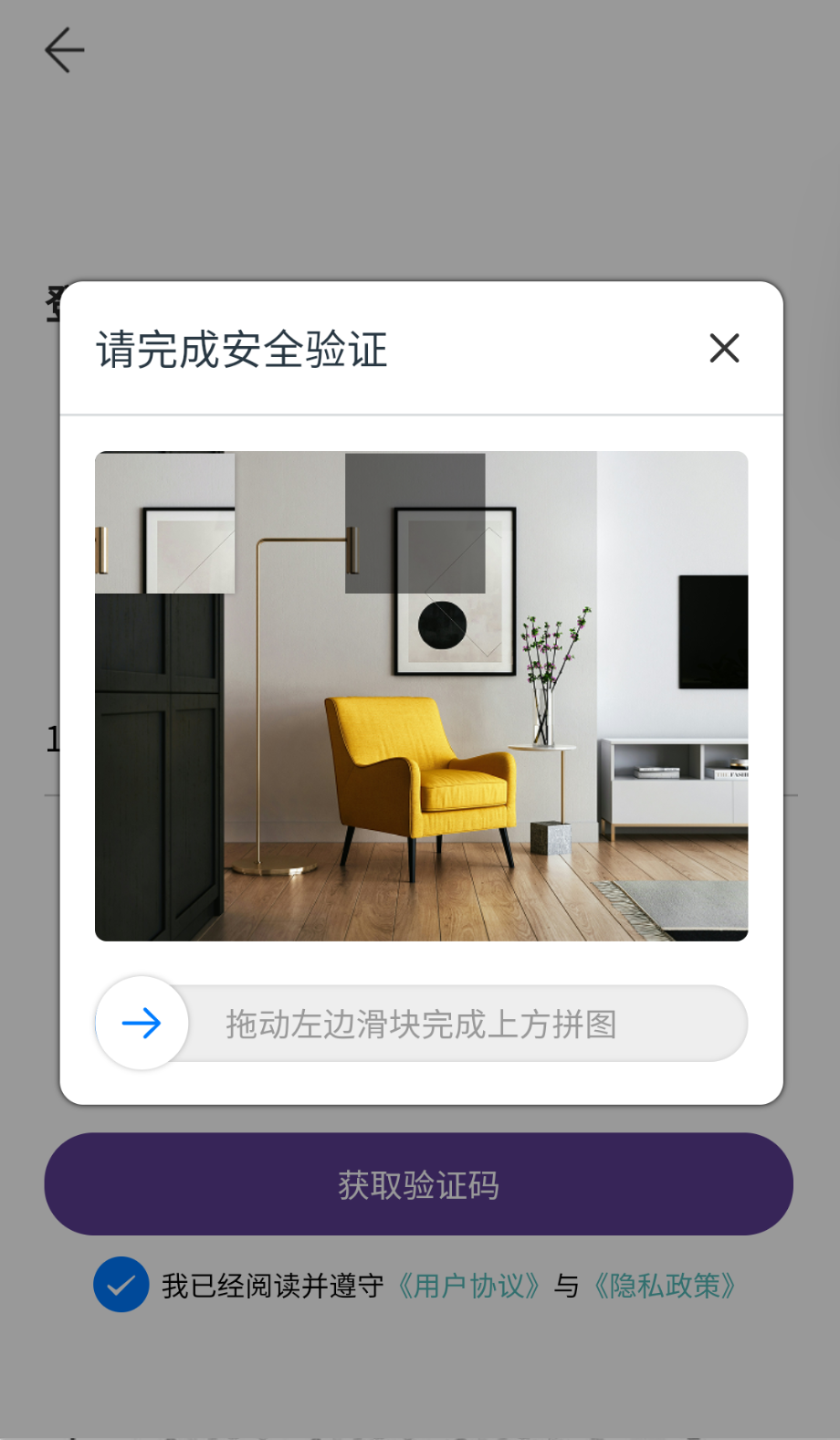 紫羅蘭生機生活截圖(3)
