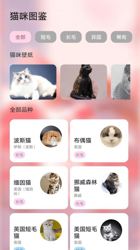ymbollab截圖(4)