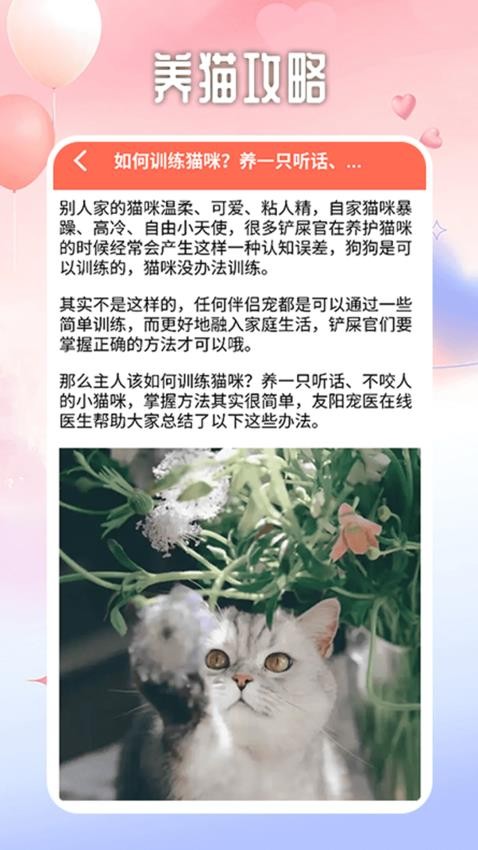 遇見你的貓咪截圖(2)