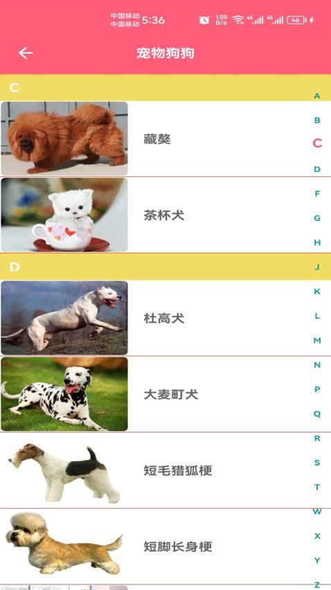 寵物寶寶大全截圖(2)