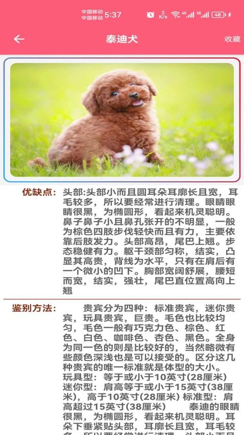 寵物寶寶大全截圖(4)