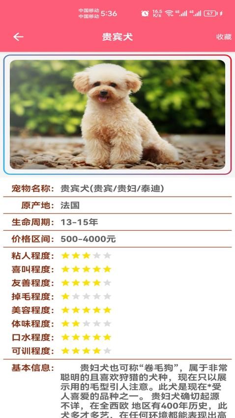 寵物寶寶大全截圖(3)