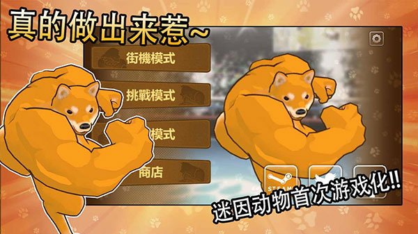 動(dòng)物之斗截圖(2)
