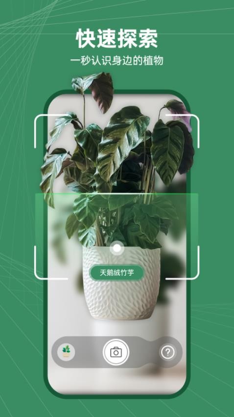 花草志截圖(4)