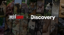 《末日喧囂》圣誕節(jié)限定活動開啟！同步釋出Discovery合作TVC和全新CG