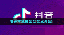 電子木魚梗出處含義介紹