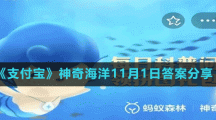 《支付寶》神奇海洋11月1日答案分享