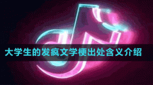 大學(xué)生的發(fā)瘋文學(xué)梗出處含義介紹