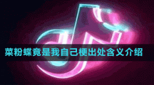 菜粉蝶竟是我自己梗出處含義介紹
