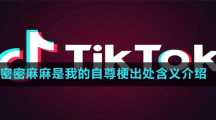 密密麻麻是我的自尊梗出處含義介紹