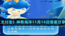 《支付寶》神奇海洋11月16日答案分享