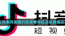 遠方傳來風(fēng)笛我只在意有你的消息歌曲分享