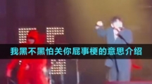 我黑不黑怕關你屁事梗的意思介紹
