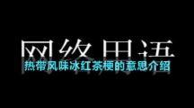 熱帶風(fēng)味冰紅茶梗的意思介紹