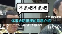 你很會陰陽梗的意思介紹
