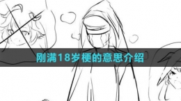 《抖音》剛滿(mǎn)18歲梗的意思介紹