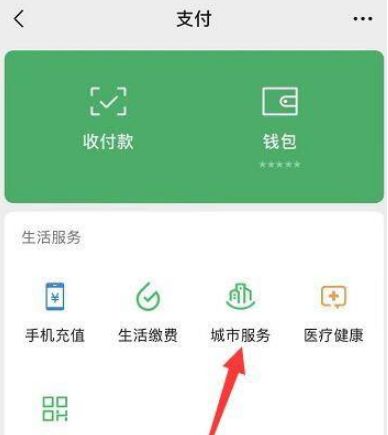 微信支付寶全國(guó)志愿服務(wù)信息注冊(cè)查詢方法