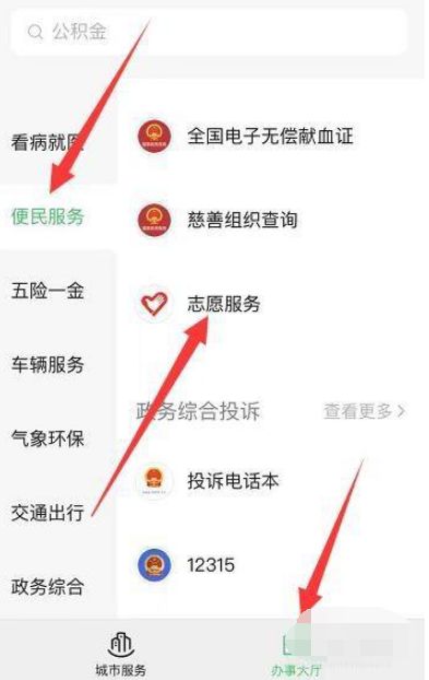 微信支付寶全國(guó)志愿服務(wù)信息注冊(cè)查詢方法