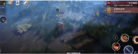 《黑色沙漠手游》華麗的空殼任務(wù)介紹