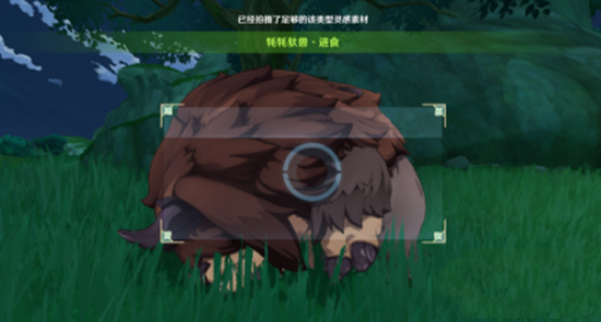 《原神》拍攝動(dòng)物的三種行為變化任務(wù)完成方法