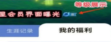 《王者榮耀》星會(huì)員等級(jí)查看方法
