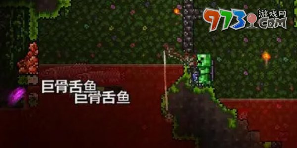 《泰拉瑞亞》國(guó)服巖漿釣魚(yú)方法