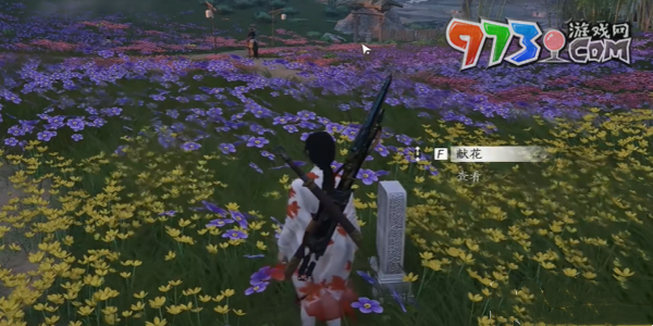 《燕云十六聲》花海無顏奇遇攻略