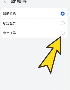 bobo瀏覽器全球通設置橫屏方法